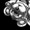 Bild 3 Thumb